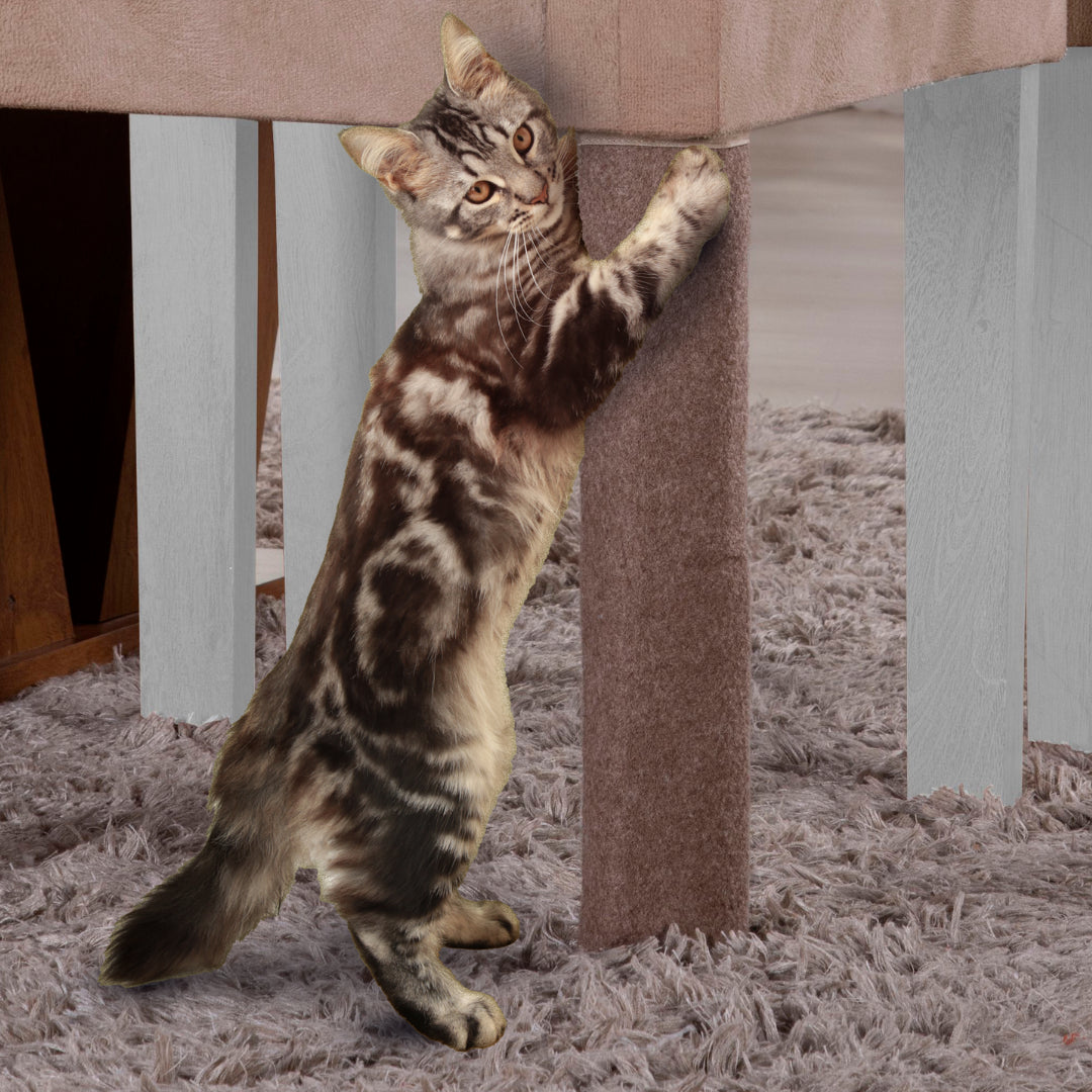 Foto de Detalhes do Arranhador Gato Protetor para Pé de Cadeira e Mesa - Bege da Charme do Detalhe muito bonita