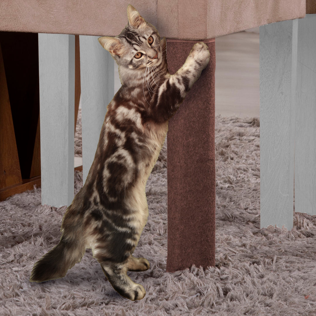 Conheça o Arranhador Gato Protetor para Pé de Cadeira e Mesa - Chocolate da Chame do Detalhe