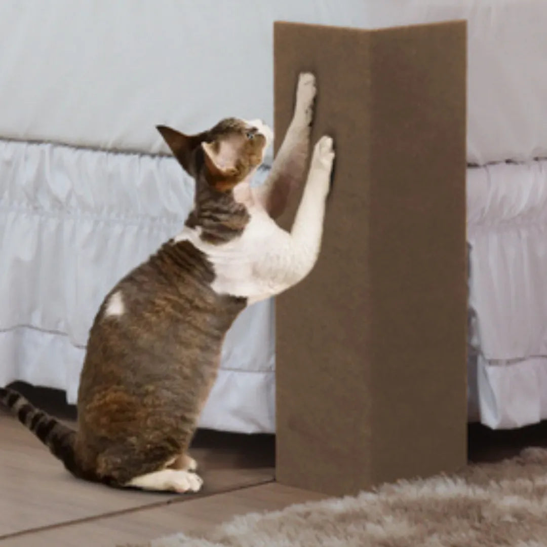 Conheça o Arranhador MDF Cama Box para Gatos - Bege da Chame do Detalhe