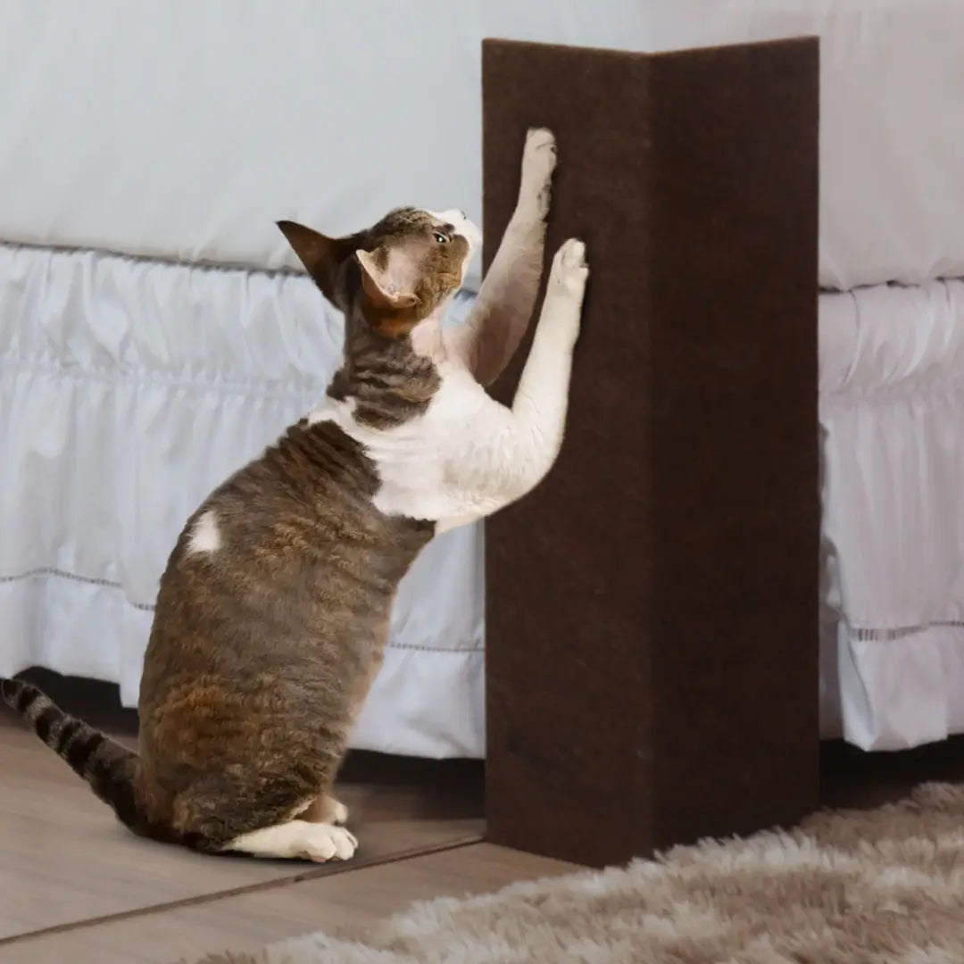 Detalhes do Arranhador MDF Cama Box Para Gatos Chocolate do Detalhe