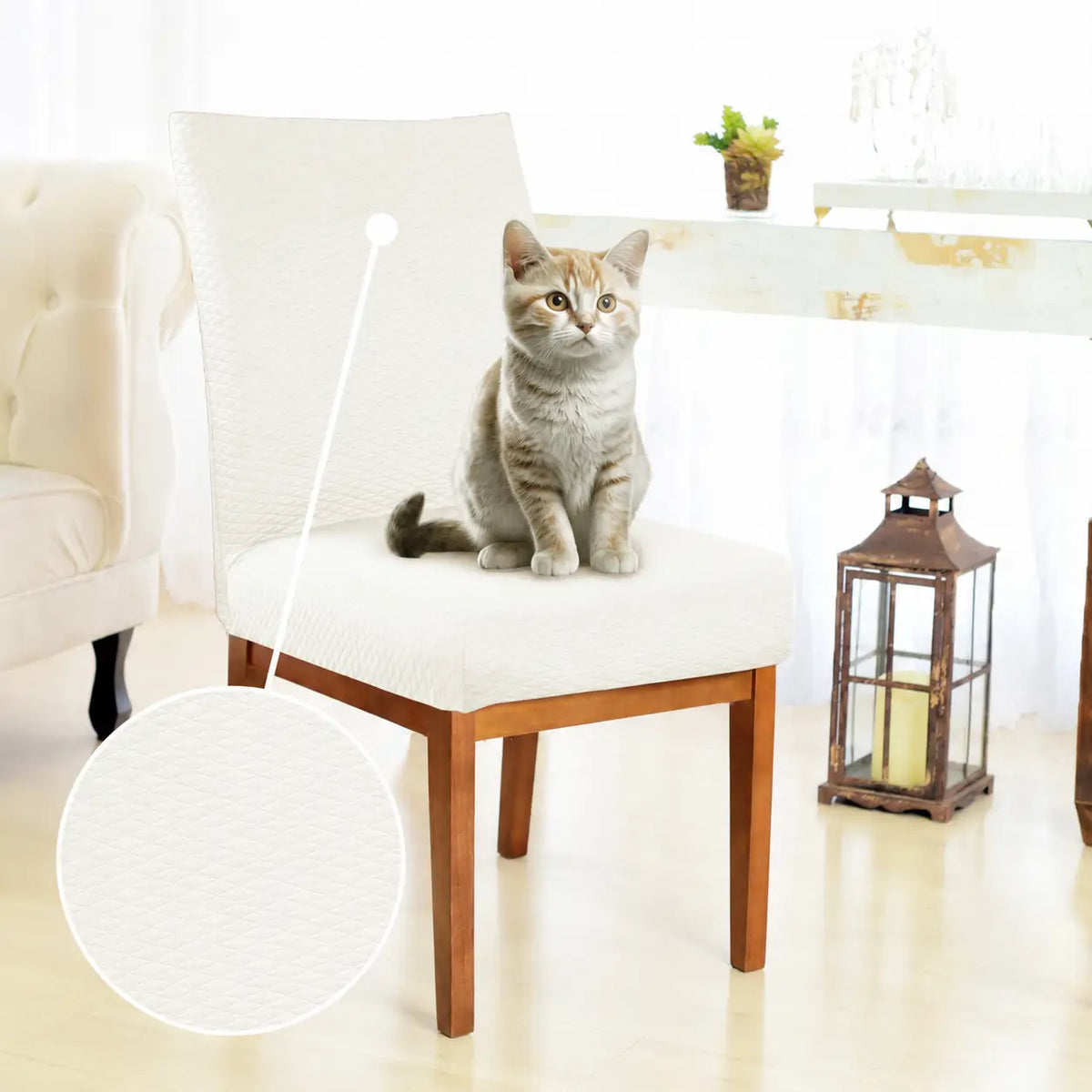 Capa Protetora Cadeira Arranhão Gato Protex Duo - Off White