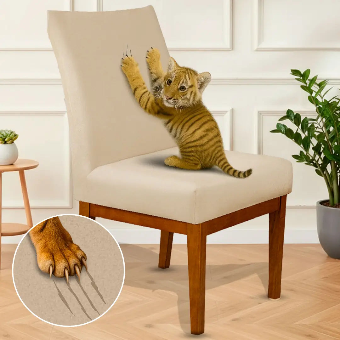 Foto vitrine capa para cadeira suede creme